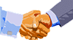 0096.gif